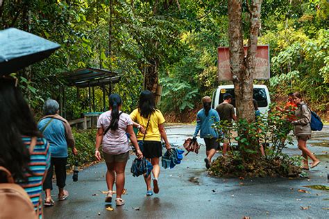 It is preferable to come during the dry months of January to April if you intend to do a lot of walking, exploring, and sightseeing. . Bohol weather